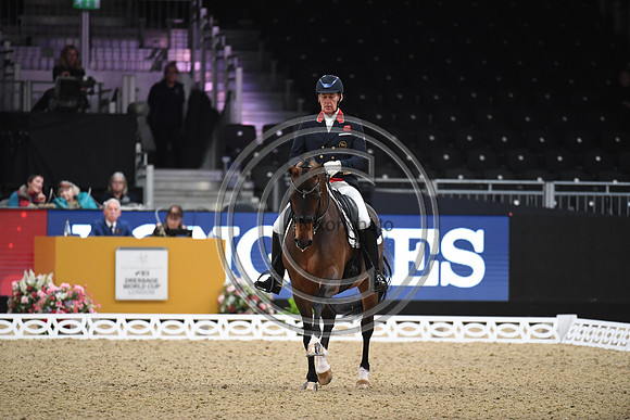 Emile FAURIE_BELLEVUE_LIHS_PN22_57481