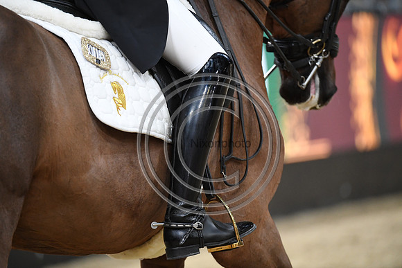 Simone PEARCE_FIDERDANCE_LIHS_PN22_58252