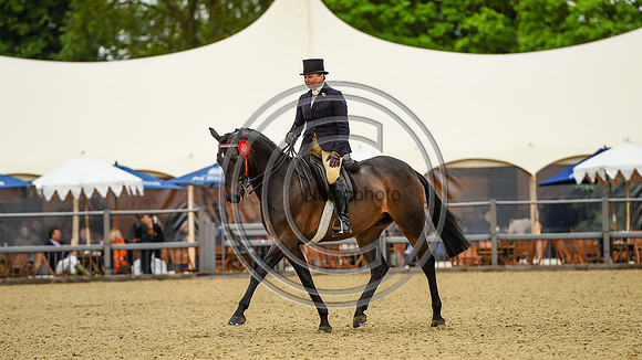 Shildons Plan B_RWHS_PN24_132046