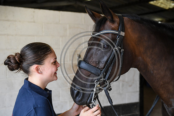 Collective Equestrian