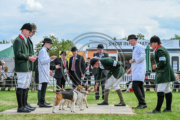 Festival of Hounds 2024