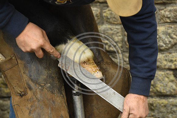 Nigel Perrott_Farrier_PN20_51855