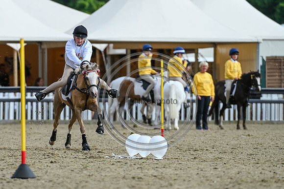 DAKS_PC_RWHS25_P189976