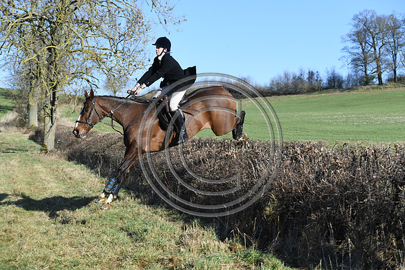 PWH_Huntinng_PN23_557