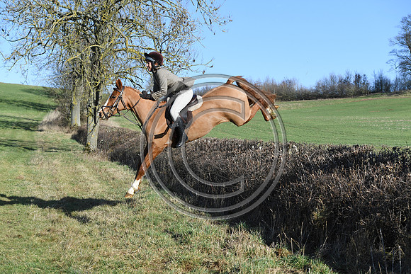 PWH_Huntinng_PN23_564