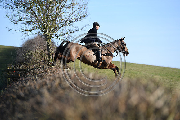 PWH_Huntinng_PN23_788