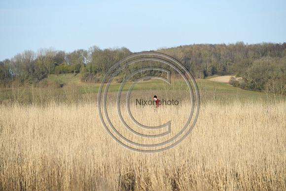 PWH_Huntinng_PN23_808