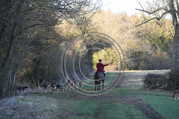 PWH_Huntinng_PN23_814