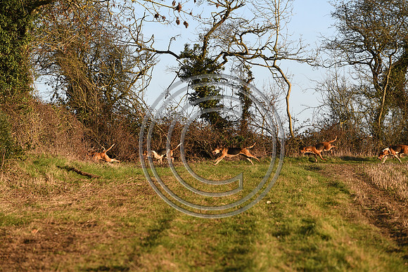 PWH_Huntinng_PN23_816