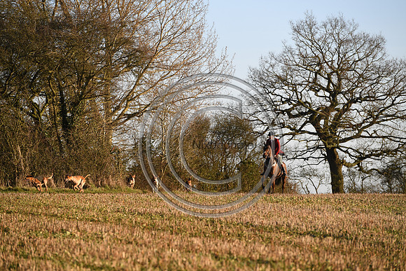 PWH_Huntinng_PN23_817