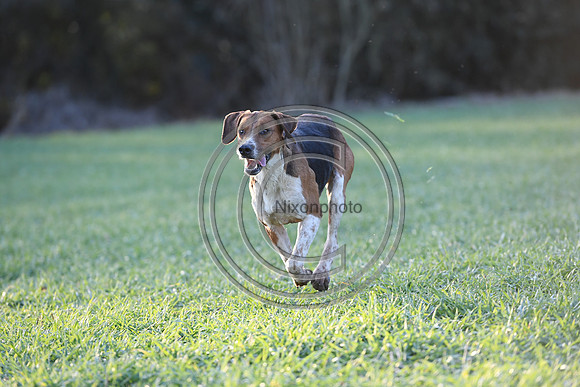 PWH_Huntinng_PN23_826