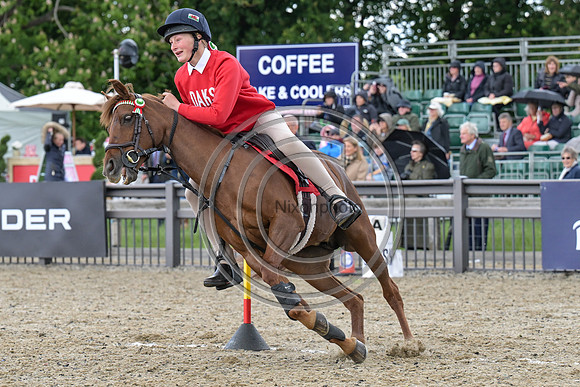 Royal Windsor Horse Show