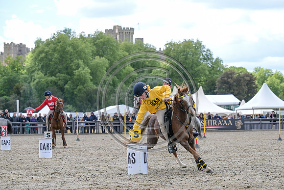 Royal Windsor Horse Show