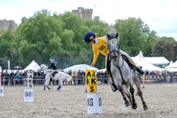 Royal Windsor Horse Show