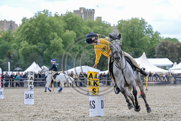 Royal Windsor Horse Show