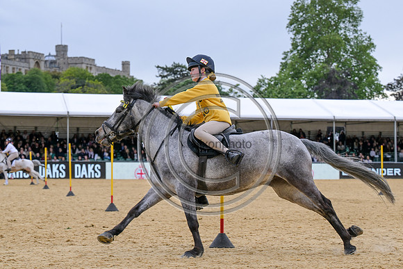 Royal Windsor Horse Show