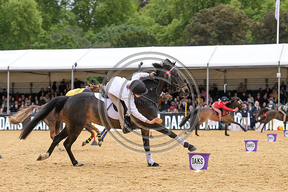 Royal Windsor Horse Show