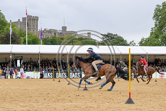 Royal Windsor Horse Show