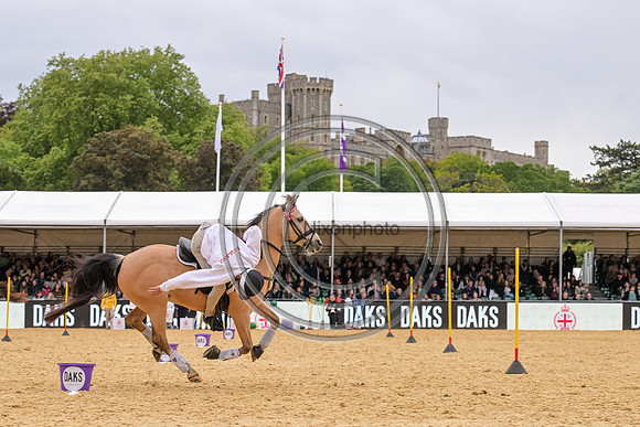 Royal Windsor Horse Show