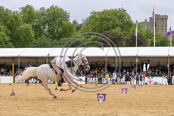 Royal Windsor Horse Show