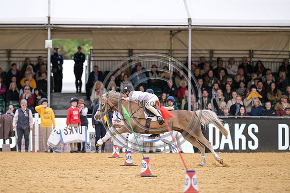 Royal Windsor Horse Show