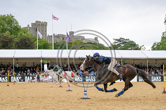 Royal Windsor Horse Show