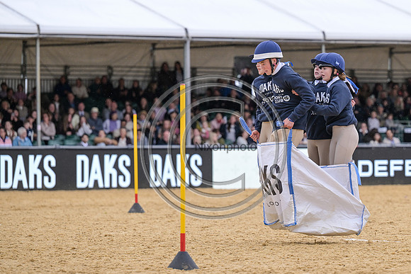 Royal Windsor Horse Show
