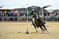 Royal Windsor Horse Show
