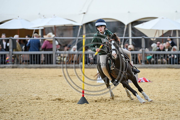 Royal Windsor Horse Show