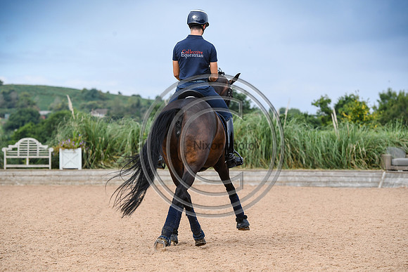 Collective Equestrian