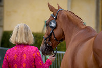BTS-1st_Trot-UP_S048