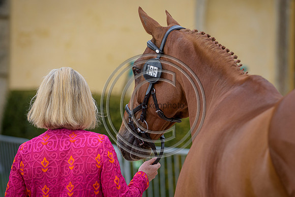 BTS-1st_Trot-UP_S048