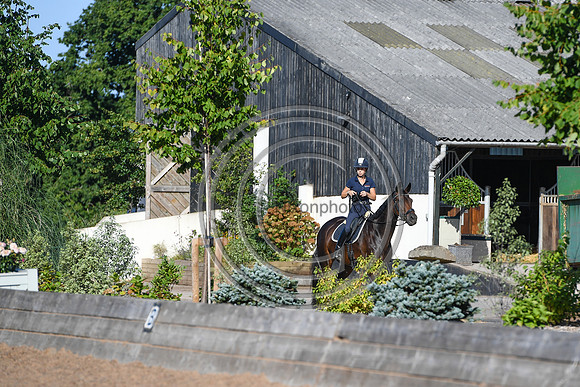 Collective Equestrian