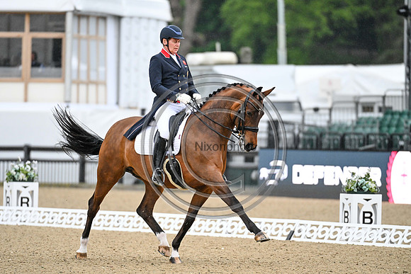 Emile Faurie_Bellevue_RWHS_PN24_130877