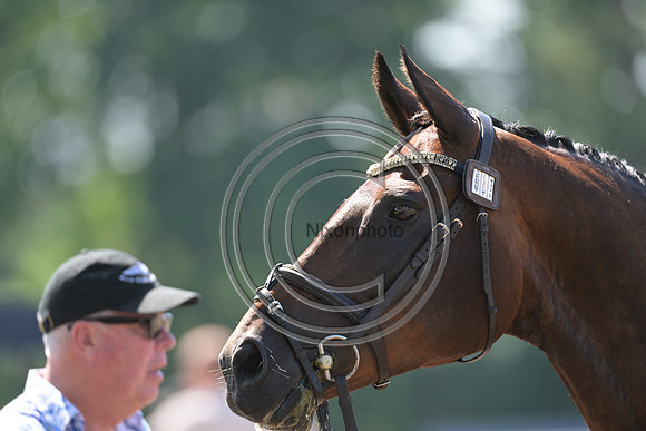 Longines Luhmühlen Horse Trials