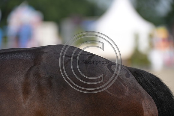 Longines Luhmühlen Horse Trials