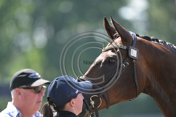 Longines Luhmühlen Horse Trials