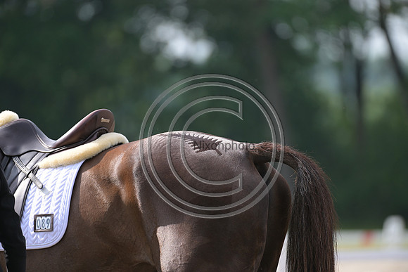Longines Luhmühlen Horse Trials