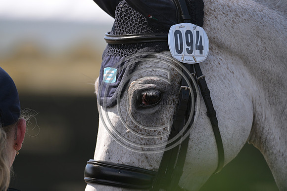 Longines Luhmühlen Horse Trials