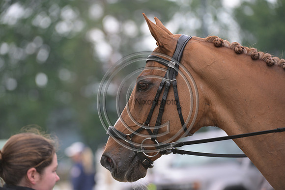 Longines Luhmühlen Horse Trials