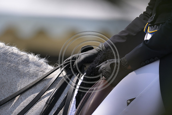 Longines Luhmühlen Horse Trials