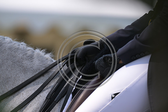 Longines Luhmühlen Horse Trials