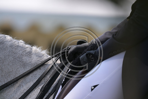 Longines Luhmühlen Horse Trials