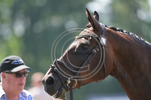 Longines Luhmühlen Horse Trials