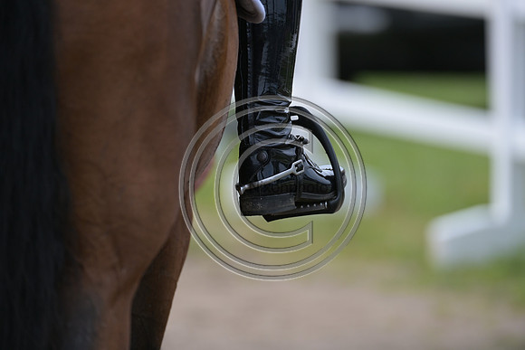 Longines Luhmühlen Horse Trials