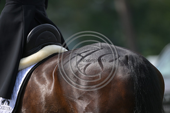 Longines Luhmühlen Horse Trials
