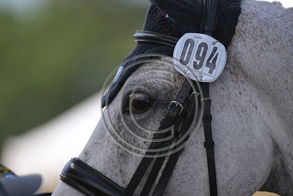 Longines Luhmühlen Horse Trials