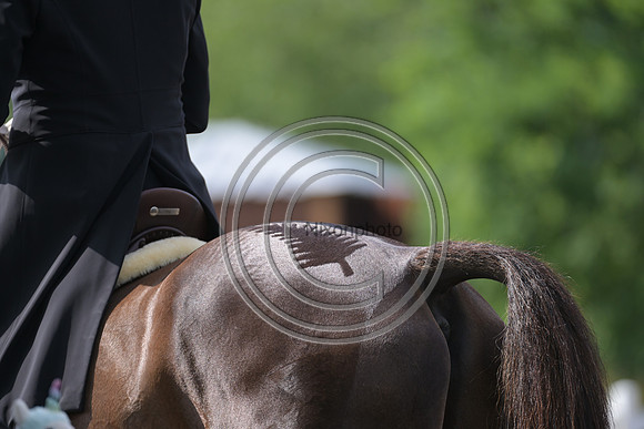 Longines Luhmühlen Horse Trials
