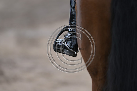 Longines Luhmühlen Horse Trials