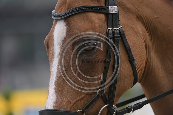 Longines Luhmühlen Horse Trials